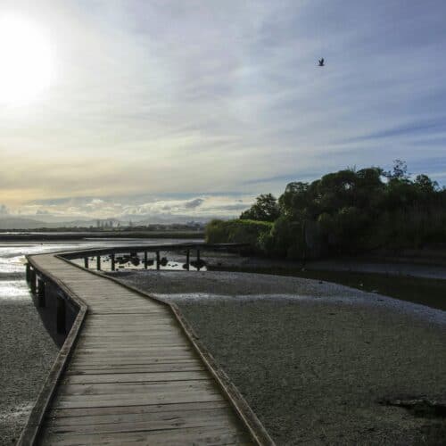 Ahuriri Walkway