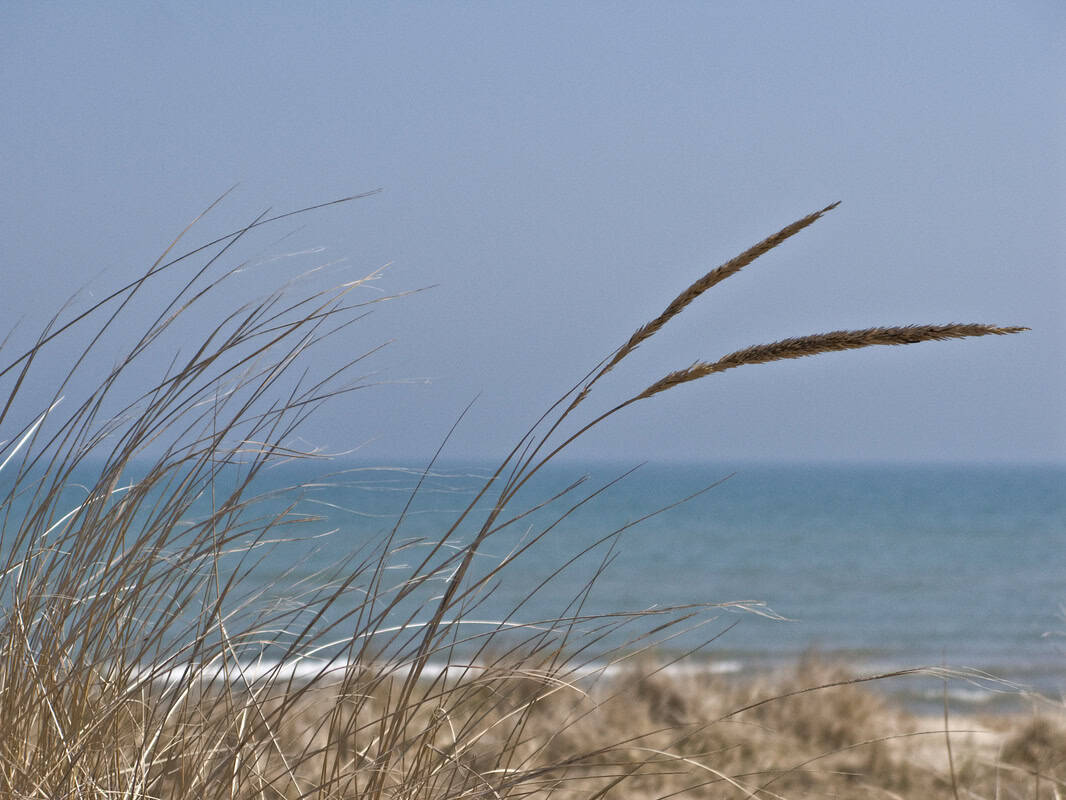 Gavin Raymond Josephs